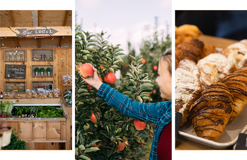 3 picture collages of Willow Tree Market, a girl picking apples, and locally-made baked goods