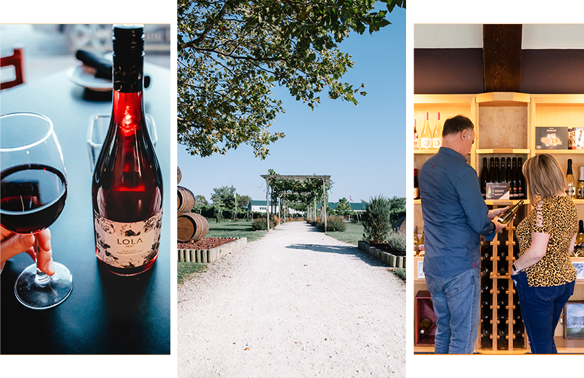 3 picture collage of Lola Wine, Pelee Island Winery, and a couple selecting wine from a wine rack