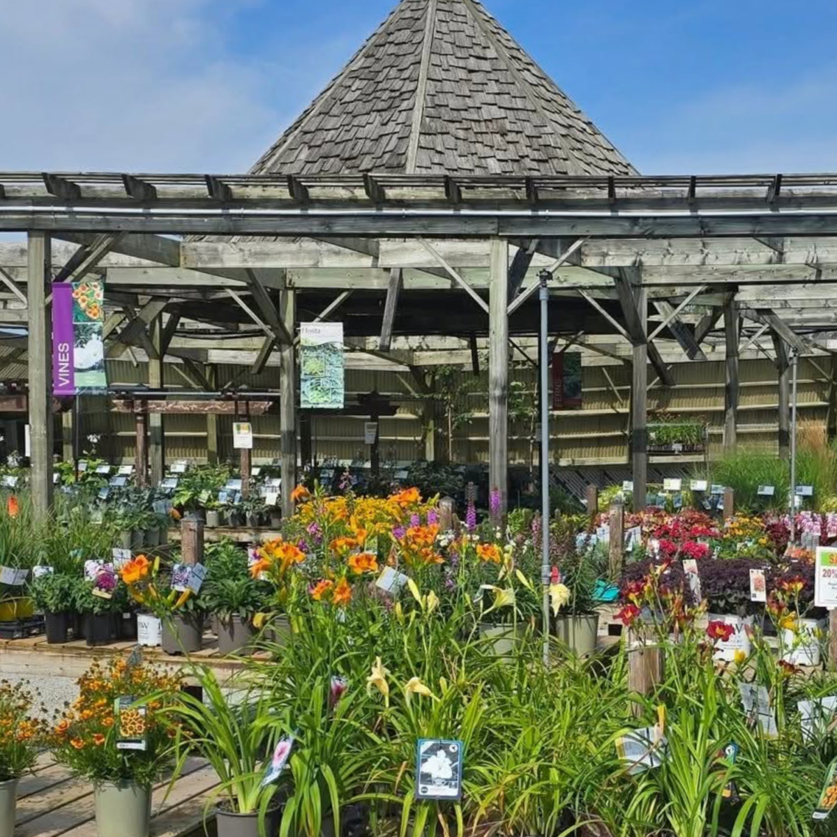 Overlooking a variety of green plants and colourful flowers