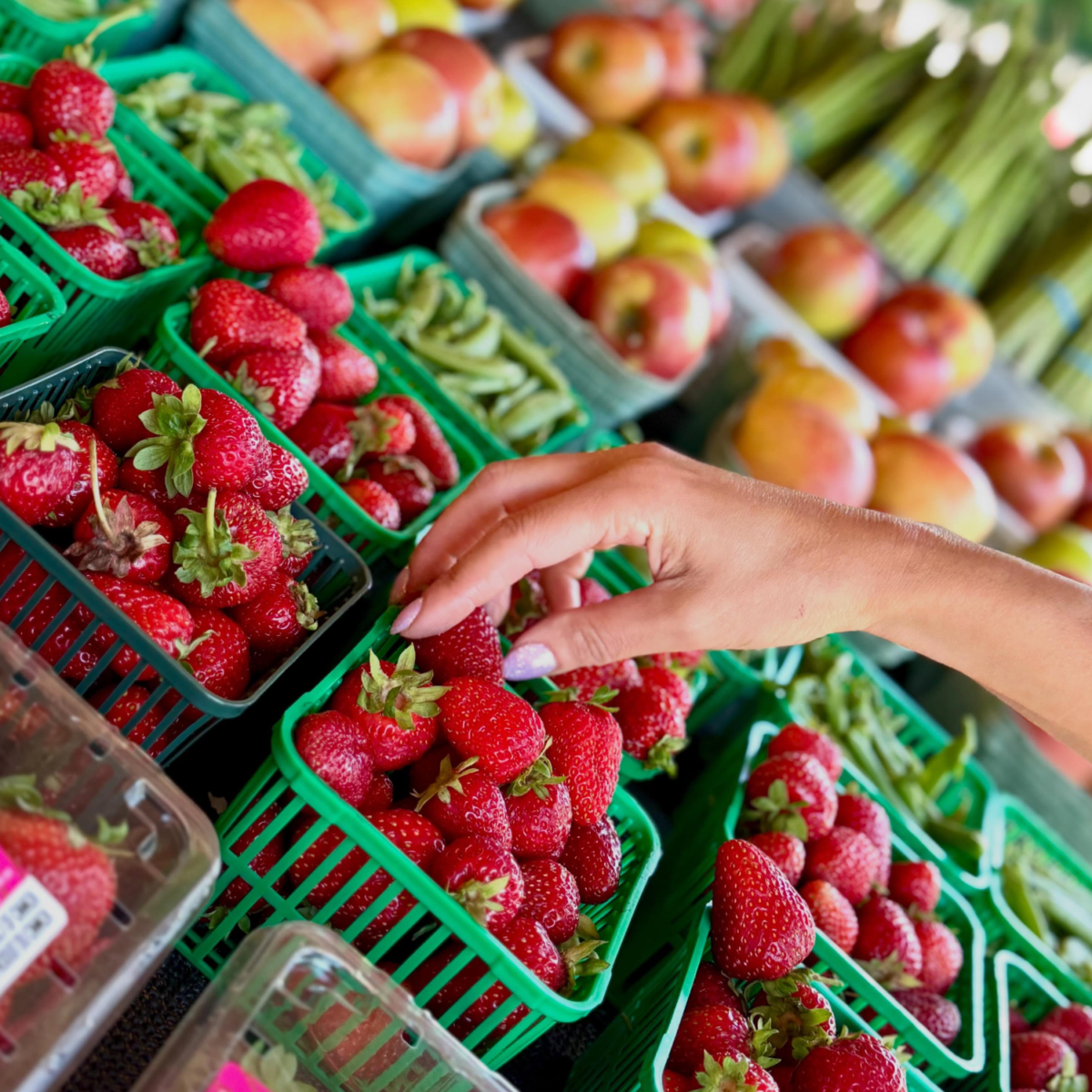 Hand picking out a strawberry from one of many displays of strawberries