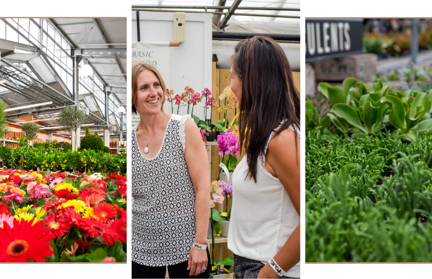 3 card photo shows colourful flowers, women browsing in