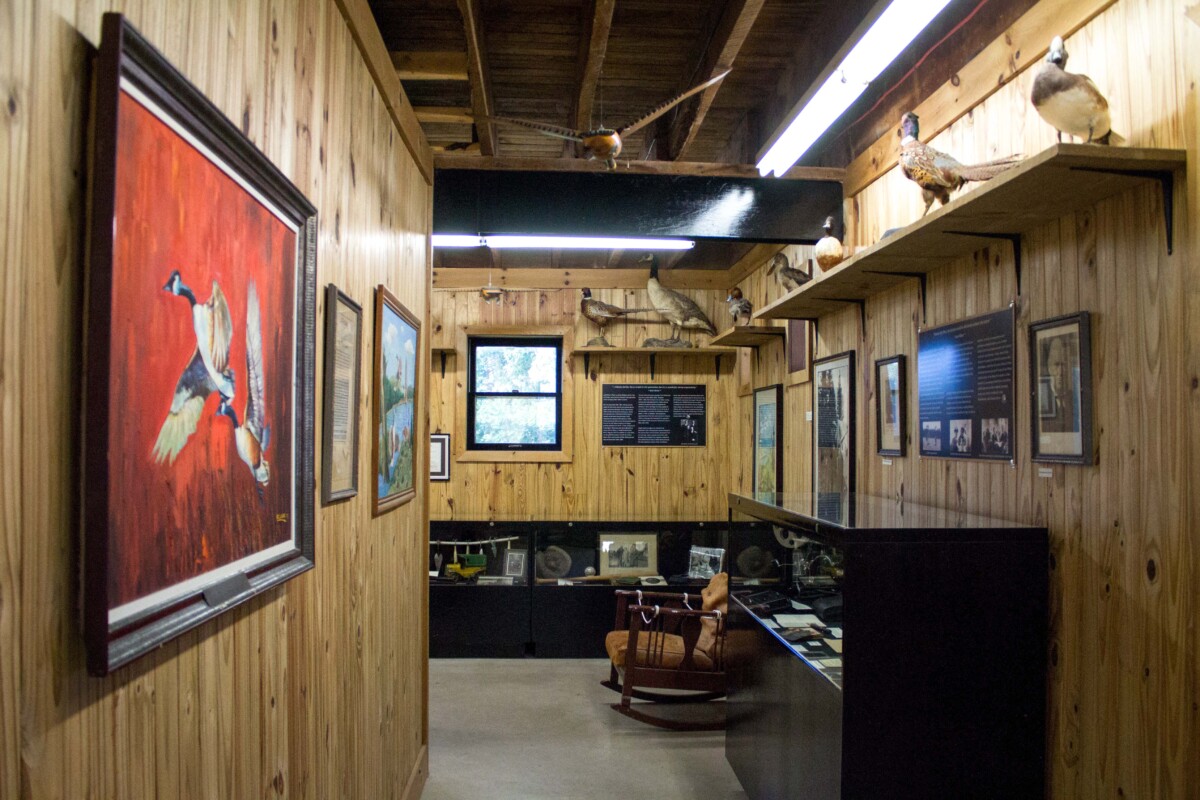 Wood paneled walls and lines of art, including one showing a Canada goose in flight.