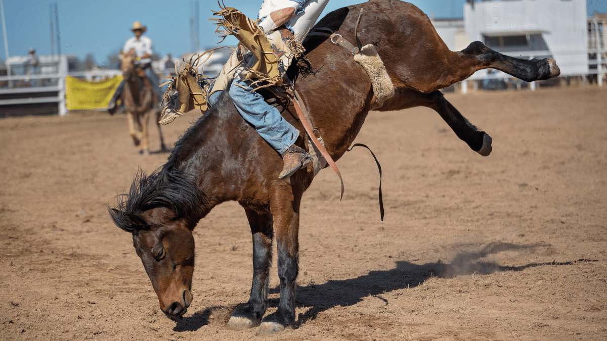 Kingsville Pro Rodeo