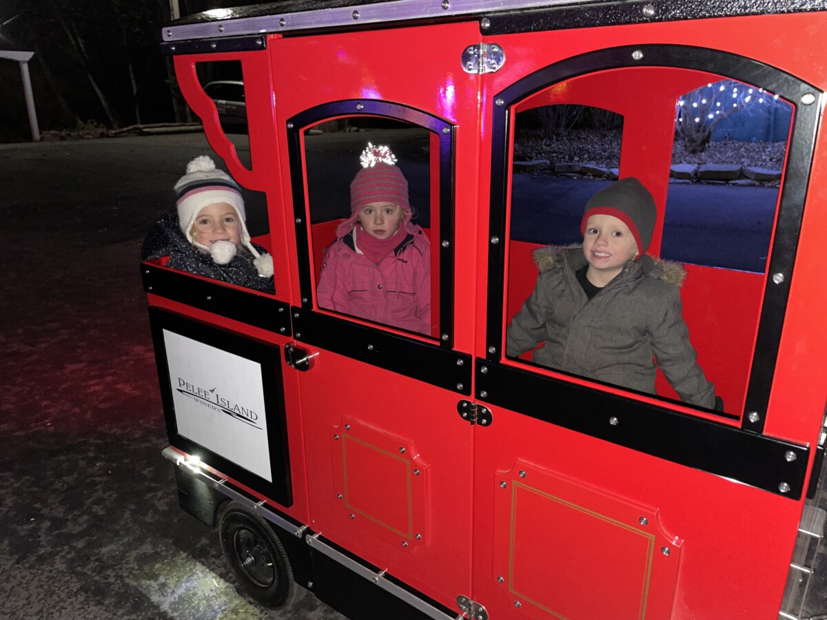 Three kids bundled up ready to ride the train through the park